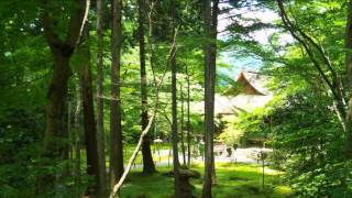 FHD Sanzenin temple Ohara Kyoto  京都・大原 三千院門跡 [upl. by Alberto329]