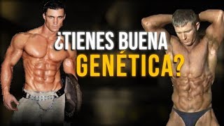 ¿QUÉ TAN BUENA ES TU GENÉTICA  INSERCIONES MUSCULARES [upl. by Ahsinel843]