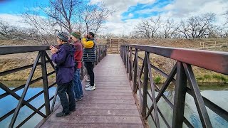 Largest Cottonwood Forest in the World through Albuquerque  Rio Grande Nature Center amp Bosque Hike [upl. by Massab]