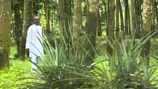 YAESU ENNODU IRUPATHA  JEBATHOTTA JEYAGEETHANGAL VIDEO  S J BERCHMANS  VOL 2  TAMIL SONG [upl. by Etteniuqna810]