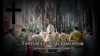 Tantum Ergo Sacramentum Gregorian Chant [upl. by Lusa]