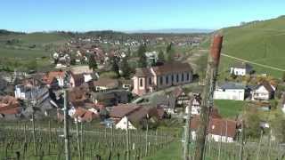 Weinwanderung Durbach [upl. by Aushoj]