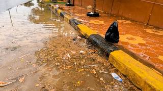 Why Always Blocked Storm Drain Cleaning [upl. by Ahsikad]