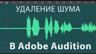 Как правильно убрать шум в Adobe Audition [upl. by Nnuahs]