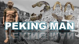 The Missing Peking Man Fossils [upl. by Annair]