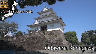 Odawara  Odawara Castle  4K HDR  小田原駅〜小田原城 [upl. by Ralleigh]