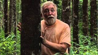 David Bellamy  Knotty Problem2mov [upl. by Nezam]