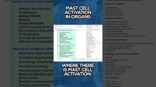 Mast Cell Activation In Organs [upl. by Anahsahs]