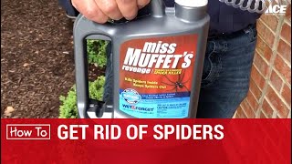 How To Keep Spiders Away  Ace Hardware [upl. by Jobyna308]