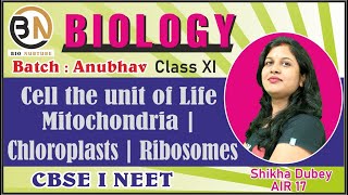 CELL THE UNIT OF LIFEMITOCHONDRIA CHLOROPLASTS RIBOSOMES CLASS XI BIOLOGY NEET 2025 [upl. by Nathan]