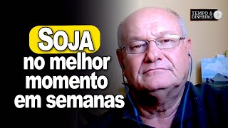 Soja no melhor momento em semanas Vlamir Brandalizze comenta [upl. by Ki]