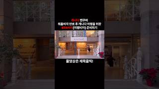 캐나다 밴쿠버 ㅣ워홀비자 만료 후 캐나다 여행을 위한 ETA비자 캐나다 canada ETA [upl. by Niad8]