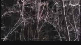 Wendigo Trailer 2001 [upl. by Ace]