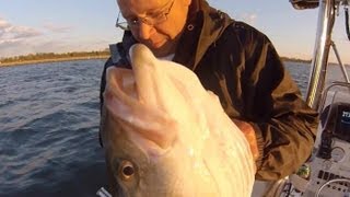 Striped bass fishing Live and Cut Bait Chum and Chunk Striper fishing NY NJ CT MA TEAM OLD SCHOOL [upl. by Onid]