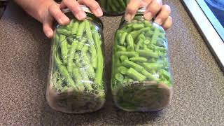 Dry Canning Raw Pack Green Beans Dry Canned Green Beans Rebel Canning Non Traditional Method [upl. by Askari]