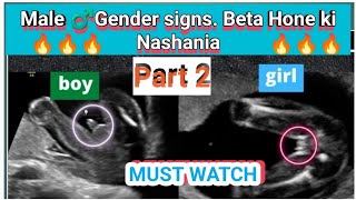 MALE GENDER SIGNS PART 2😎🔥 I BETA HONE KI NISHANIA IN URDU AND HINDI I [upl. by Sargent830]