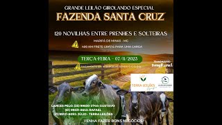 LEILÃO ESPECIAL  FAZENDA SANTA CRUZ  MARIPÁ DE MINAS  MG🐄 [upl. by Ezekiel147]