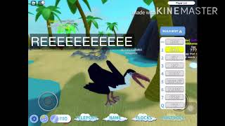 ROBLOX feather family pelagornis showcase [upl. by Melissa]