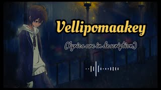 Vellipomaakey song slowed amp reverbed  sad song  whatsapp status telugu  telugu sad songs [upl. by Nahsad]