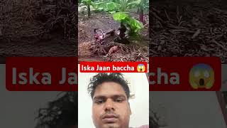 Iska Jaan lakh lakh baccha😱😱😱 shortvideo viralvideo viralreels 😱😱😱👍 [upl. by Alyse]