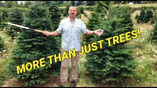 Starting a small acreage Christmas tree farm Things to consider before planting [upl. by Crist]