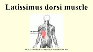 Latissimus dorsi muscle [upl. by Asoj]