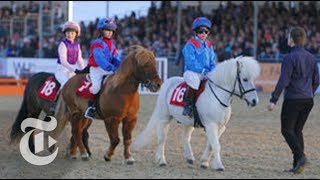 Shetland Pony Grand National  OpDocs  The New York Times [upl. by Ellenwad574]