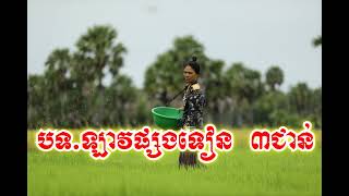 ឡាវផ្សងទៀន មហោរី  Lav Psong Tean Mohory [upl. by Tizes33]