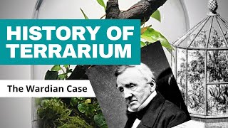 A Brief History of the Terrarium The Wardian Case [upl. by Atiuqahs]