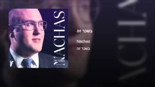 NACHAS Bischar Zeh  נחת בשכר זה Audio [upl. by Notsud]