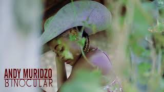 Binocular  Andy Muridzo Official Video [upl. by Manup704]