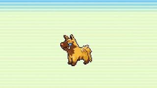 🌟 Shiny Poochyena evolutions  Pokemon Emerald Pokedex No 010  011 [upl. by Donella]