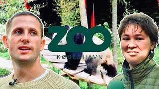 Benjamin Hav I Københavns Zoo feat Eva Jin [upl. by Redla]