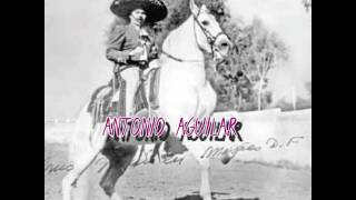 CABALLOS DE PATAS BLANCASCON HERRADURAS SE ACEROANTONIO AGUILAR [upl. by Bayer]