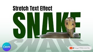 Snake Design Stretched Text Canva Tutorial Step by Step Beginners Tutorial on Stretched Text Effect [upl. by Henrietta369]