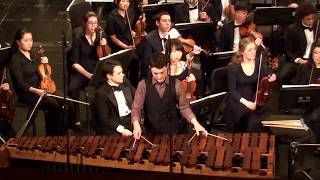 Sejourne Concerto for Marimba and String Orchestra [upl. by Balbinder827]