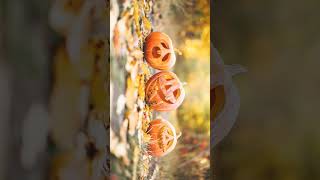 🌹⁷☆•⁵ Gourd Family Cucurbits  Cucurbitaceae [upl. by Adnohsak]