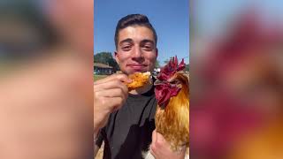 Eat A Chicken In Front Of A Chicken 🐔 [upl. by Annawd]