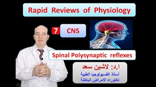 Physiology ReviewsSpinal Polysynaptic reflexes [upl. by Det568]