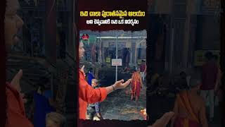 ఇది చాలా పురాతనమైన ఆలయం SriMandeswaraSwamy Mandapalli Konaseema vlog TempleVlog TeluguVlogs [upl. by Runck]