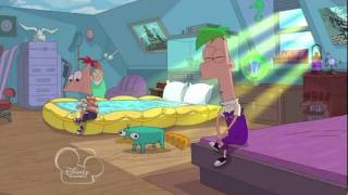 Everythings better with Perry HD  Phineas and Ferb across the second dimension movie with lyrics [upl. by Asirrac]