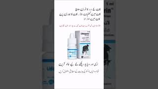 lidosporin ear drops  lidosporin ear drops uses in urdu lidosporineardrops​ earpainrelief​ [upl. by Eeluj]