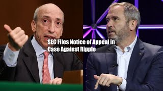 SEC Files Notice of Appeal in Case Against Ripple [upl. by Materi]