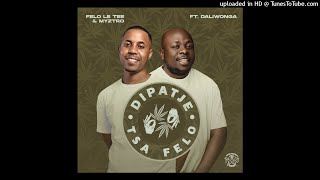 Dipatje Tsa Felo feat Daliwonga [upl. by Katsuyama26]