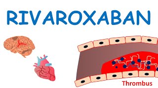 Rivaroxaban xarelto as blood thinner [upl. by Ahtreb]