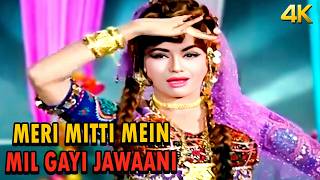 Meri Mitti Mein Mil Gayi Jawani  Helen Superhit Dance Song  Asha Bhosle  Khandaan [upl. by Selia]