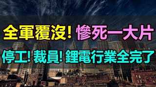 全完了！停工！裁員！鋰電行業慘遭「倒春寒」，工廠停工停產，企業訂單銳減，動力鋰電池嚴重過剩，電池企業盲目擴張，行業面臨大洗牌，中小型電池企業慘死，一片哀嚎 [upl. by Airtened]