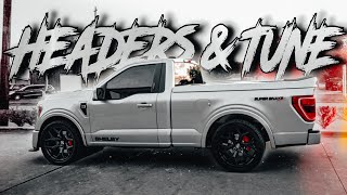 NEW UPGRADES FOR THE F150 SHELBY SUPER SNAKE 🐍 [upl. by Sell]