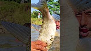 Asian Country Fishing shorts  Amazing Rural Fishing Video 🐟 Best Asian Fishing Technique shorts [upl. by Fusuy]