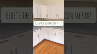 DIY Painting Kitchen Cabinets Transformation  Oak Cabinets Inspiration  Painted counters [upl. by Dlnaod]